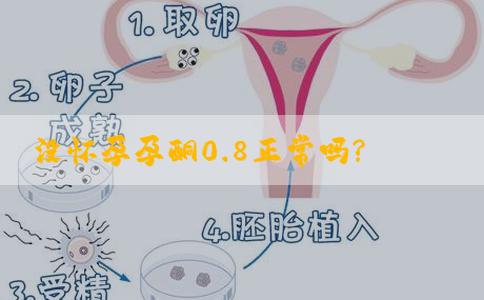 没怀孕孕酮0.8正常吗?
