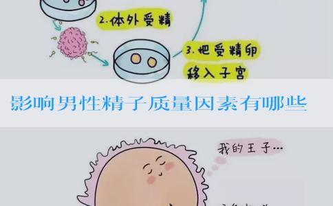 影响男性精子质量因素有哪些?如何提高精子质量?