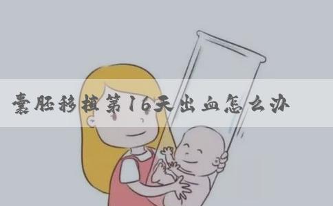 囊胚移植第16天出血怎么办-囊胚移植后怎么保胎