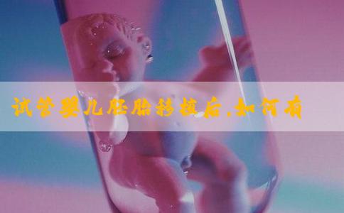 试管婴儿胚胎移植后，如何有效的进行保胎？