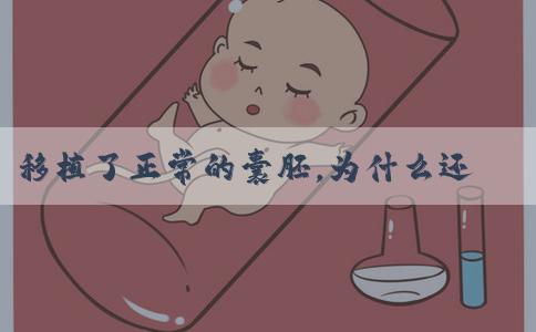 移植了正常的囊胚，为什么还是没有成功？