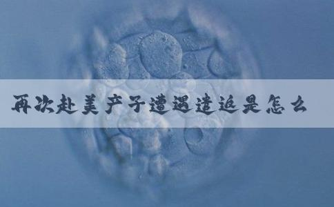 再次赴美产子遭遇遣返是怎么回事
