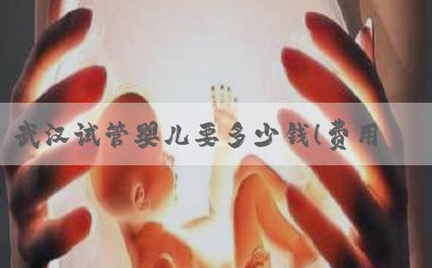 武汉试管婴儿要多少钱！费用20万够吗？