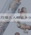 泰国试管婴儿大概要多少费用?报价新鲜出炉!