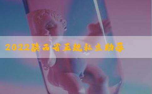 2022陕西省正规私立助孕机构试管费用成功率一览