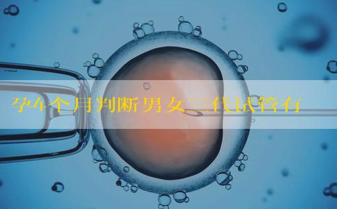 孕4个月判断男女三代试管有3种方法！最详细版本！