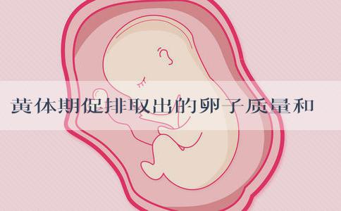 黄体期促排取出的卵子质量和胚胎配成率高不高？