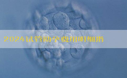 2024试管助孕费用明细指南：费用如何确定？