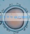 2024年下半年嘉兴地区试管婴儿服务机构综合评价前三名揭晓，附助孕省钱攻略！