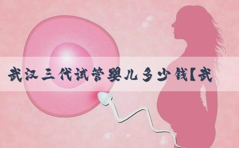 武汉三代试管婴儿多少钱？武汉三代试管机构在哪里