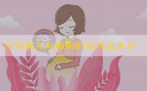 试管婴儿双胞胎的费用是多少