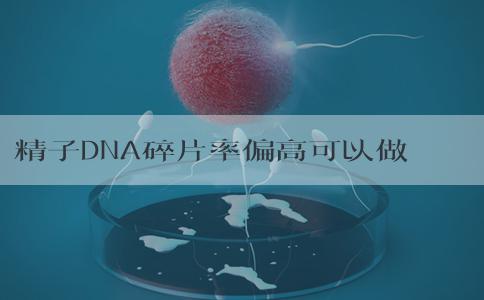 精子DNA碎片率偏高可以做试管婴儿吗？5万费用够吗？