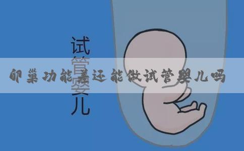 卵巢功能差还能做试管婴儿吗？如何调理卵巢功能