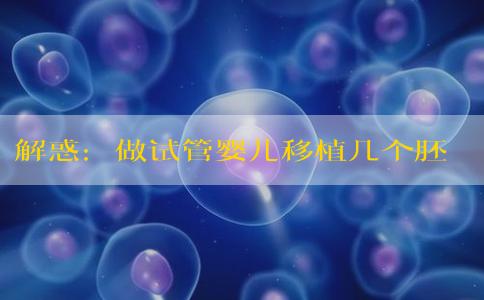 解惑：做试管婴儿移植几个胚胎成功率较高？