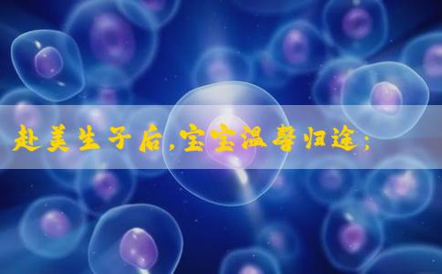 赴美生子后，宝宝温馨归途：安全乘坐飞机回国的全指南