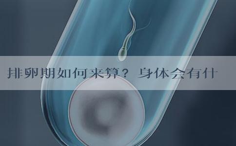 排卵期如何来算？身体会有什么感觉呢？