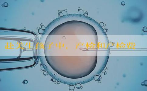 赴美生孩子中,产检和产检费用怎样算的? 赴美生孩子中,产检和产检费用怎样算的?