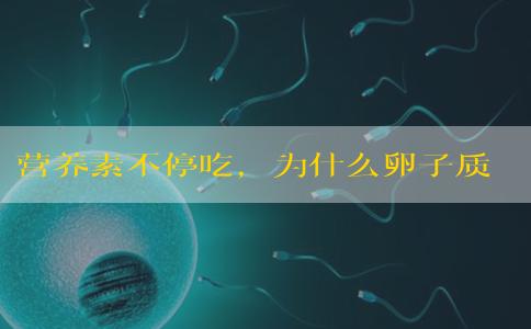 营养素不停吃，为什么卵子质量还是没得到改善？