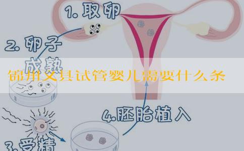 锦州义县试管婴儿需要什么条件！需要十万元吗？