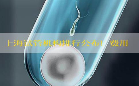 上海试管机构排行公布！费用明细在这里！