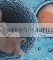 同房后公细胞流出来的原因是什么？有哪些注意事项需要注意？