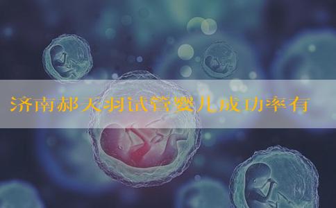 济南郝天羽试管婴儿成功率有哪些提升方法，附医院详细费用！