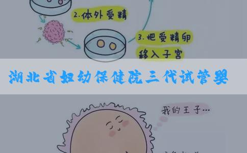 湖北省妇幼保健院三代试管婴儿成功率怎么样，价格预估！