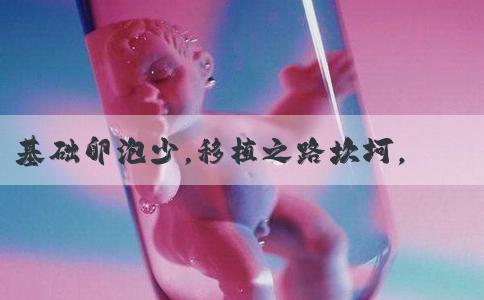 基础卵泡少，移植之路坎坷，试管婴儿如何破局？
