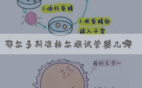 鄂尔多斯准格尔旗试管婴儿哪家做的好！准格尔旗医院！