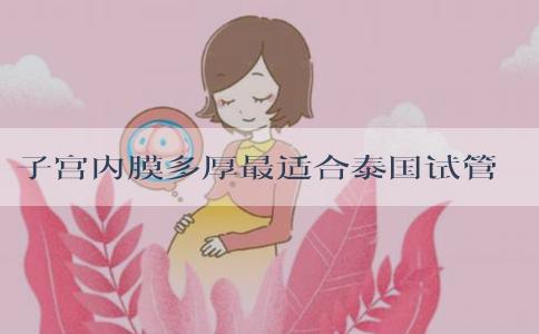 子宫内膜多厚最适合泰国试管婴儿移植？附费用流程明细！