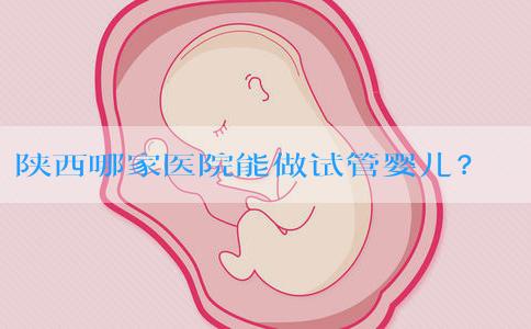 陕西哪家医院能做试管婴儿？陕西试管哪个医生做的好？