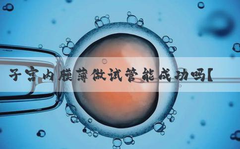 子宫内膜薄做试管能成功吗？费用二十万够吗？