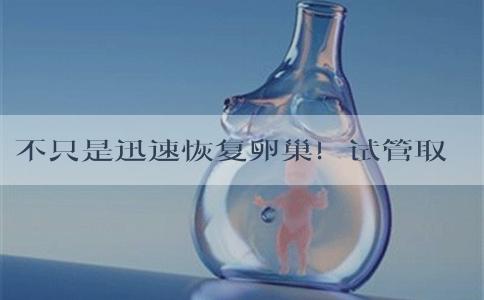 不只是迅速恢复卵巢！试管取卵后吃萝卜的3大好处汇总