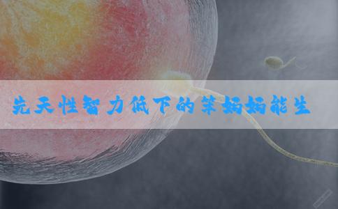 先天性智力低下的笨妈妈能生聪明男孩吗？