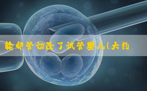 输卵管切除了试管婴儿！大约4-6万元！