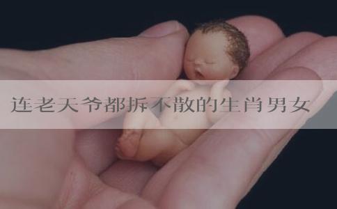 连老天爷都拆不散的生肖男女在这，2023年旧爱回头快复合