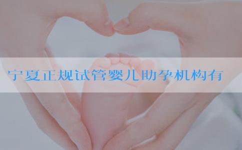 宁夏正规试管婴儿助孕机构有哪些？银川试管的费用多少钱？