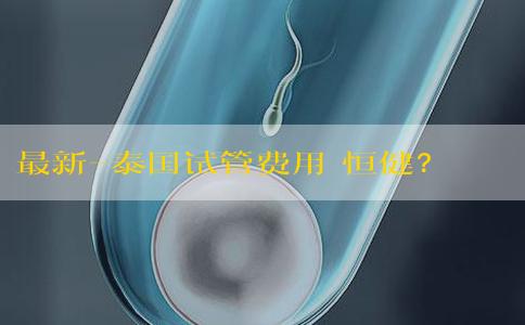 最新-泰国试管费用 恒健？做试管生殖成功率有80%吗？