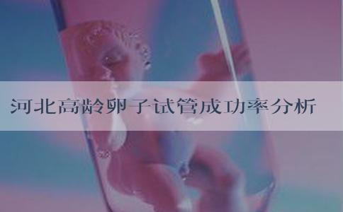 河北高龄卵子试管成功率分析？实用指南！