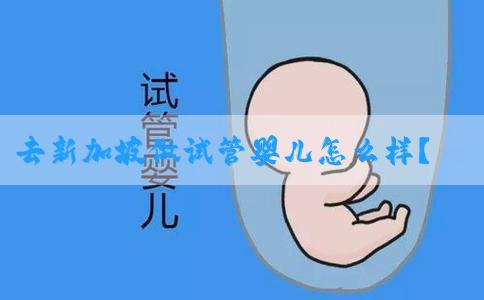 去新加坡做试管婴儿怎么样？成功率如何！