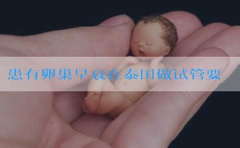 患有卵巢早衰在泰国做试管要多少钱！费用最低！