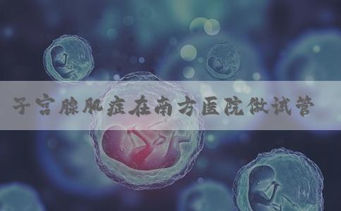 子宫腺肌症在南方医院做试管找哪个医生好，流程有哪些！