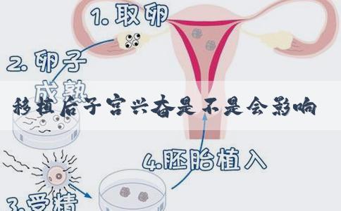 移植后子宫兴奋是不是会影响着床？