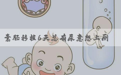 囊胚移植6天总有尿意想上厕所是着床成功的征兆吗？移植囊胚第六天尿多正常吗？