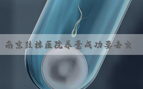 南京鼓楼医院养囊成功要去交多少钱？
