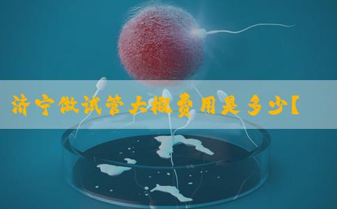 济宁做试管大概费用是多少？济宁做试管婴儿有补助吗？