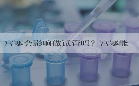 宫寒会影响做试管吗？宫寒能试管吗？