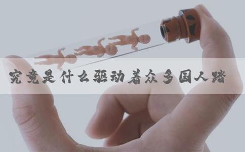 究竟是什么驱动着众多国人踏上赴美生子的旅程呢？