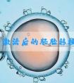 钙离子激活后的胚胎移植后着床率高吗！钙离子通道激活！