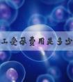 ****人工受孕费用是多少？****哪些医院可以做人工受精？